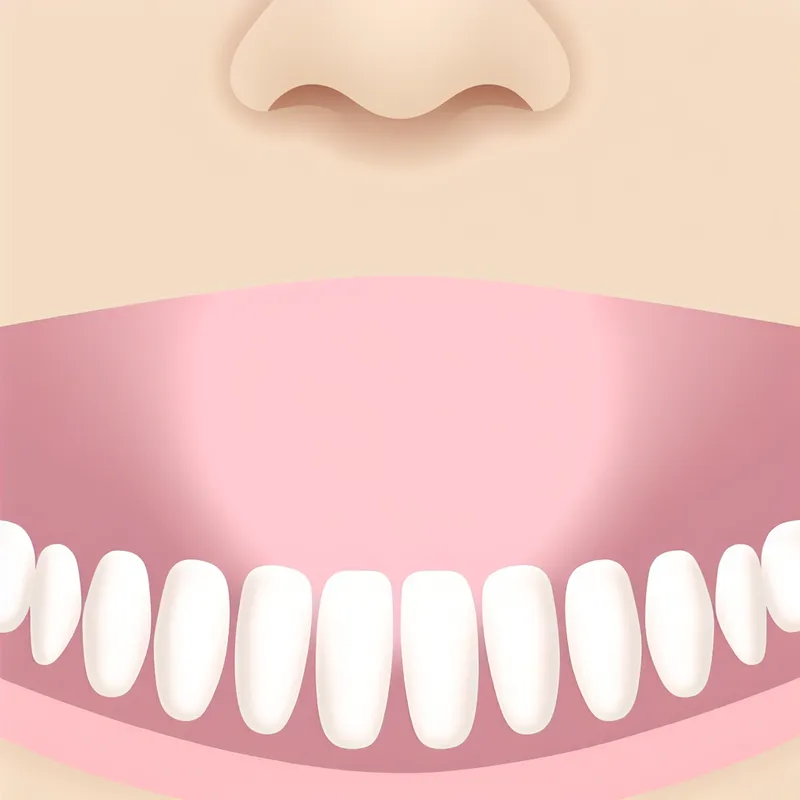 Minimalistische illustratie van een symmetrisch lachend gezicht met gelijkmatige tanden, stijl van Dick Bruna